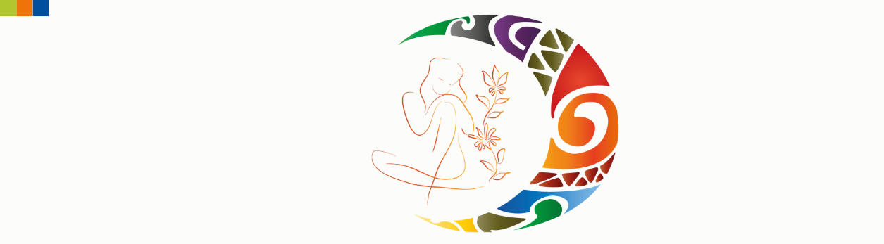 Logo des Vereins Visiones e. V. – Träger von Bildungs- und Empowermentprojekten mit interkulturellem Fokus.