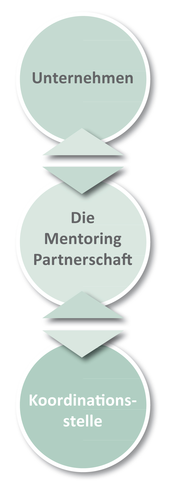 Die Mentoring-Partnerschaft erfolgt in Zusammenarbeit zwischen Unternehmen und der Koordinationsstelle Mentoring-Partnerschaft.