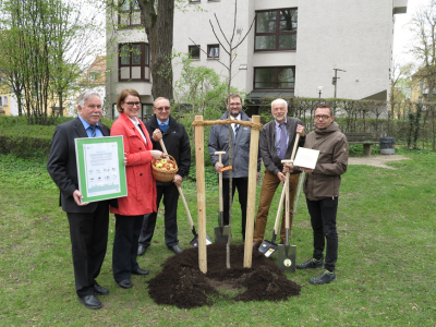 BaumderAnerkennung