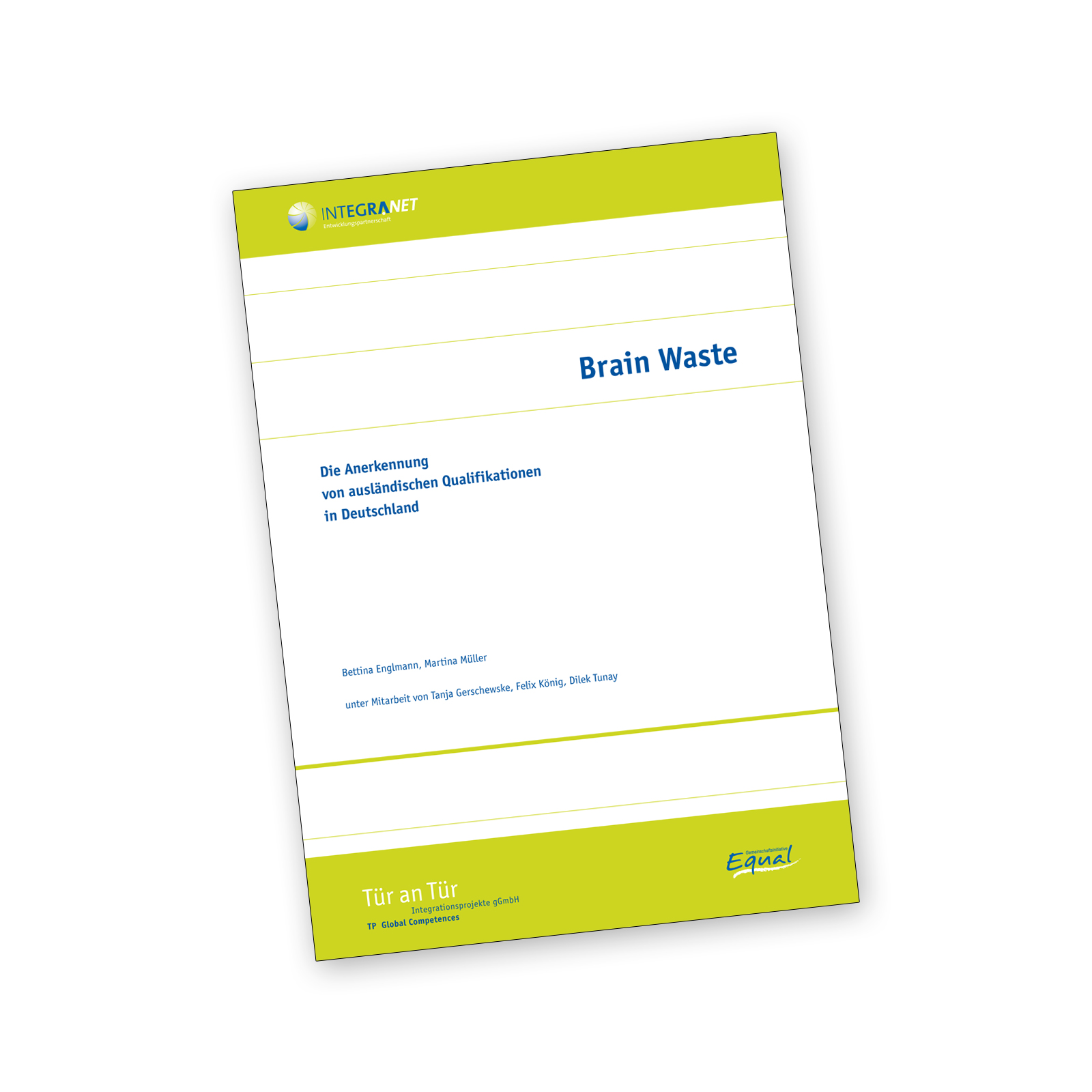 BrainWaste